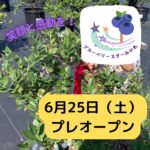 2022年オープン日が決まりました