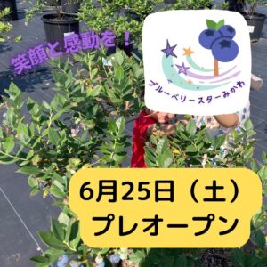 2022年オープン日が決まりました