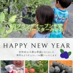 2023年あけましておめでとうございます