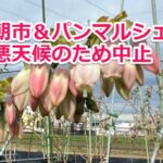 朝市&パンマルシェ中止のお知らせ