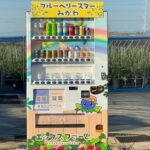 新たな魅力!ブルーベリーが購入できる自動販売機が登場!