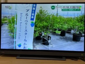 キャッチネットワークで放送されました