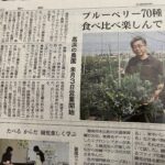 中日新聞に掲載されました