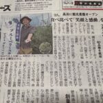 たんぽぽニュースに掲載されました
