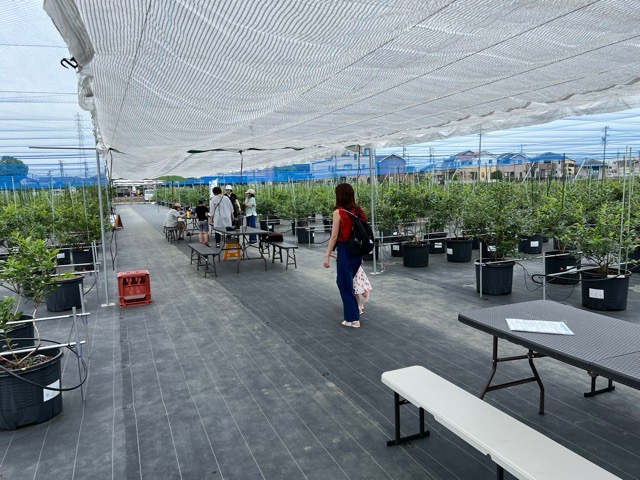 日よけスペース