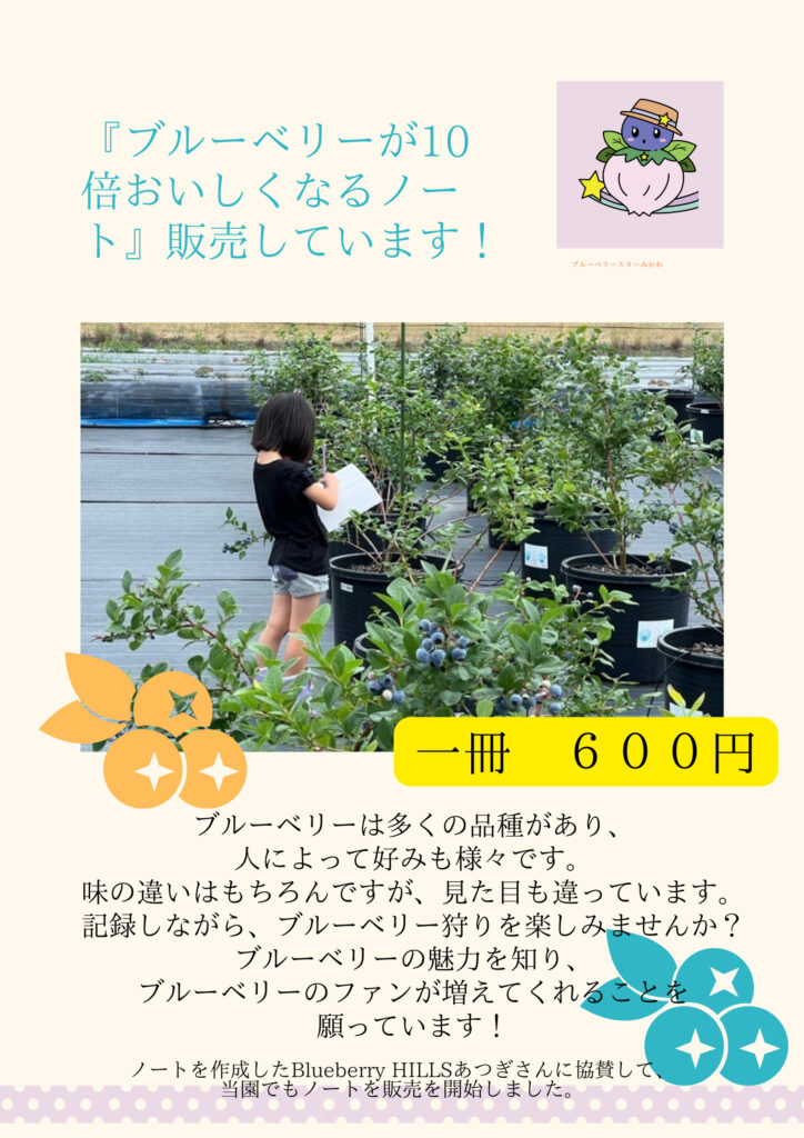 ブルーベリーが10倍おいしくなるノート