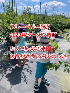 2023年のブルーベリー狩り、終了しました。心からの感謝を込めて