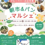 4月14日ブルーベリーのお花見もできちゃう朝市&パンマルシェ開催!