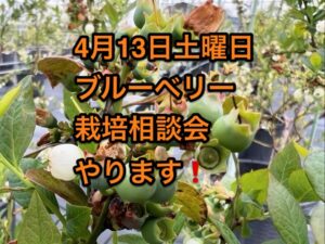 ブルーベリー愛好家の皆様へ：ブルーベリー栽培無料相談会のご案内
