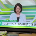 キャッチネットワークでブルーベリー狩り親子体験の様子が放送されました