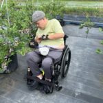 車いすの客様がブルーベリー狩りを楽しむ様子