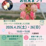 🌸 ブルーベリーの花が咲く季節に。お花見まつりを開催します