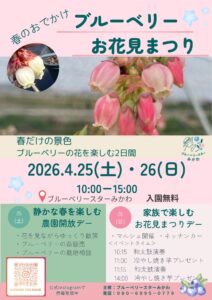 🌸 ブルーベリーの花が咲く季節に。お花見まつりを開催します