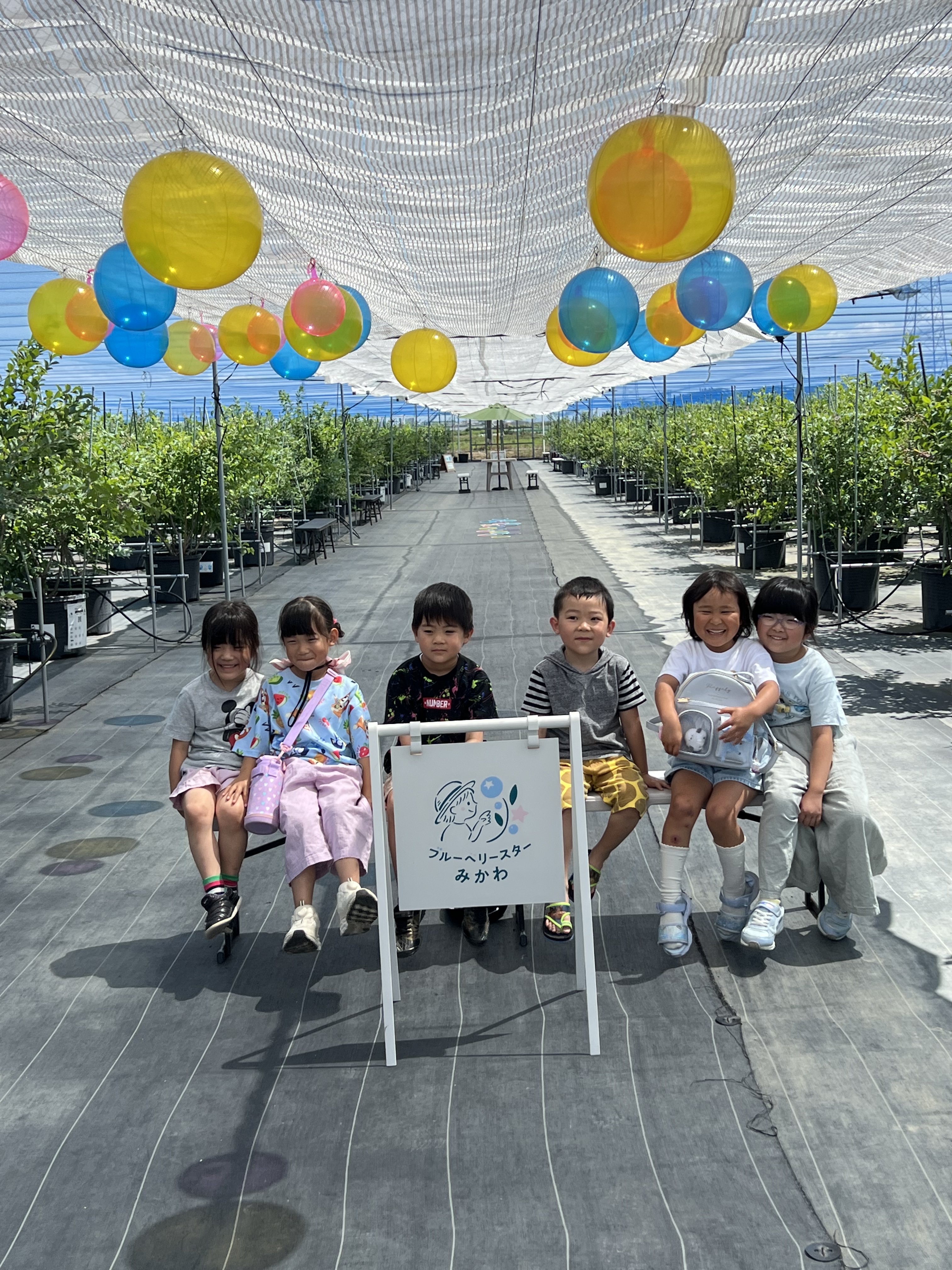 親子ブルーベリー狩り体験を開催しました｜中日新聞に掲載されました